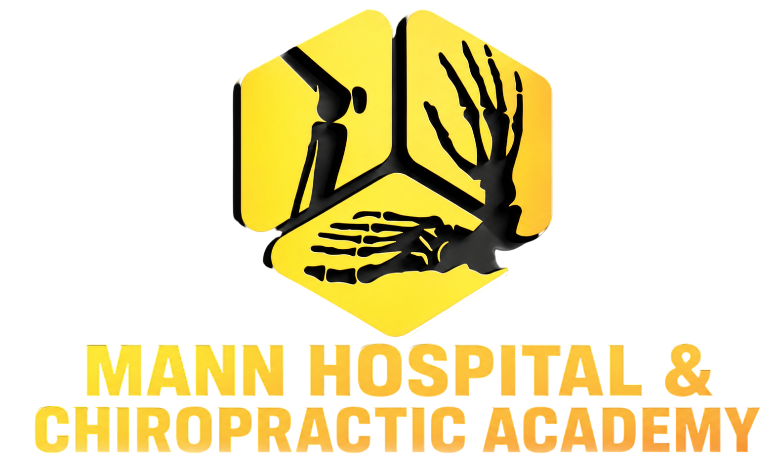 Mann Chiro Edu